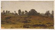 Rosa Bonheur View of a Field oil